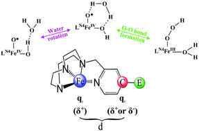 Graphical abstract: Theoretical insights into the reactivity of Fe-based catalysts for water oxidation: the role of electron-withdrawing groups