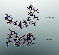 Graphical abstract: Is a cross-β-sheet structure of low molecular weight peptides necessary for the formation of fibrils and peptide hydrogels?