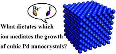 Graphical abstract: What dictates which ion, I− or Br−, mediates the growth of cubic Pd nanocrystals?