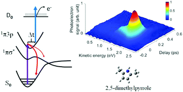 Graphical abstract: Ultrafast excited-state dynamics of 2,5-dimethylpyrrole