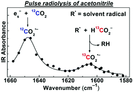 Graphical abstract: Radiolytic formation of the carbon dioxide radical anion in acetonitrile revealed by transient IR spectroscopy