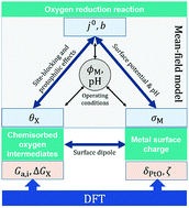 Graphical abstract: Unifying theoretical framework for deciphering the oxygen reduction reaction on platinum