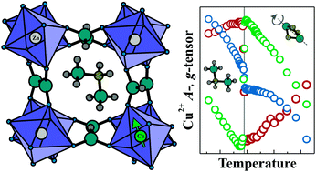 Graphical abstract: Electron paramagnetic resonance of a copper doped [(CH3)2NH2][Zn(HCOO)3] hybrid perovskite framework