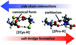 Graphical abstract: Competition between salt bridge and non-zwitterionic structures in deprotonated amino acid dimers