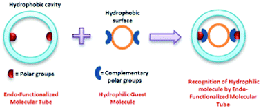 Graphical abstract: Synergistic host–guest hydrophobic and hydrogen bonding interactions in the complexation between endo-functionalized molecular tube and strongly hydrophilic guest molecules in aqueous solution