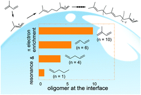 Graphical abstract: Controlling factors of oligomerization at the water surface: why is isoprene such a unique VOC?