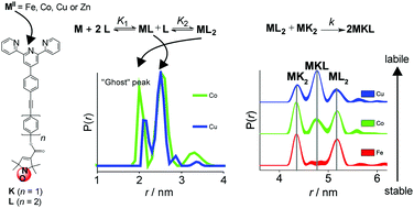 Graphical abstract: Nitroxide–nitroxide and nitroxide–metal distance measurements in transition metal complexes with two or three paramagnetic centres give access to thermodynamic and kinetic stabilities