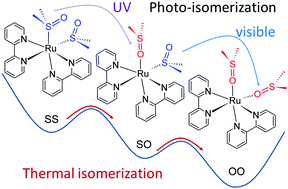 Graphical abstract: Photo-induced linkage isomerization in the gas phase probed by tandem ion mobility and laser spectroscopy