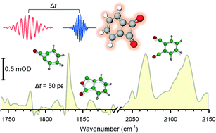 Graphical abstract: Disentangling the photochemistry of benzocyclobutenedione