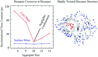 Graphical abstract: Dynamical crossover of water confined within the amphiphilic nanocores of aggregated amyloid β peptides