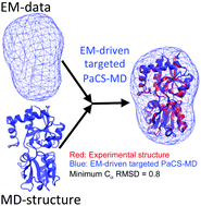 Graphical abstract: How low-resolution structural data predict the conformational changes of a protein: a study on data-driven molecular dynamics simulations