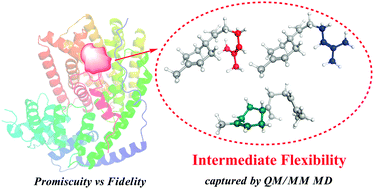 Graphical abstract: Catalytic promiscuity of the non-native FPP substrate in the TEAS enzyme: non-negligible flexibility of the carbocation intermediate