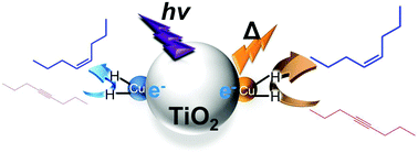 Graphical abstract: Titanium(iv) oxide having a copper co-catalyst: a new type of semihydrogenation photocatalyst working efficiently at an elevated temperature under hydrogen-free and poison-free conditions