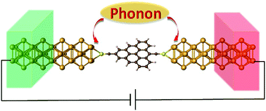 Graphical abstract: Pure spin current and phonon thermoelectric transport in a triangulene-based molecular junction