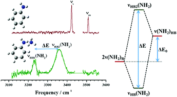 Graphical abstract: Hydrogen bond induced enhancement of Fermi resonances in N–H⋯N hydrogen bonded complexes of anilines