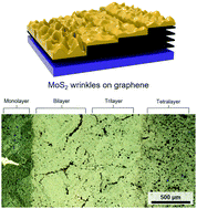Graphical abstract: Influence of graphene thickness and grain boundaries on MoS2 wrinkle nanostructures