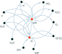 Graphical abstract: Chemical kinetics in an atmospheric pressure helium plasma containing humidity