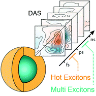 Graphical abstract: Deciphering hot- and multi-exciton dynamics in core–shell QDs by 2D electronic spectroscopies