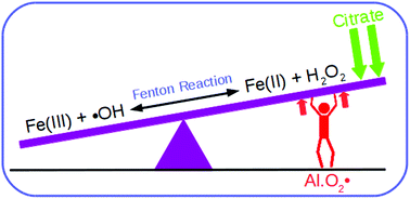 Graphical abstract: Aluminum and Fenton reaction: how can the reaction be modulated by speciation? A computational study using citrate as a test case