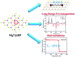 Graphical abstract: High Curie temperature and half-metallicity in an atomically thin main group-based boron phosphide system: long range ferromagnetism