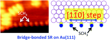 Graphical abstract: Bridge-bonded methylthiolate on Au(111) observed with the scanning tunneling microscope