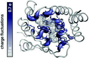 Graphical abstract: Large-scale QM/MM free energy simulations of enzyme catalysis reveal the influence of charge transfer