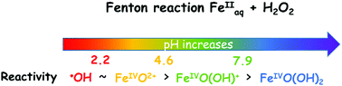 Graphical abstract: A computational study of the Fenton reaction in different pH ranges