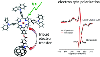 Graphical abstract: Triplet electron transfer and spin polarization in a palladium porphyrin–fullerene conjugate