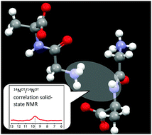Graphical abstract: A one-dimensional solid-state NMR approach for 14NH/14NH overtone correlation through 1H/1H mixing under fast MAS