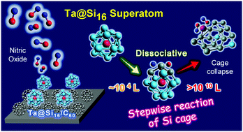 Graphical abstract: Nitric oxide oxidation of a Ta encapsulating Si cage nanocluster superatom (Ta@Si16) deposited on an organic substrate; a Si cage collapse indicator