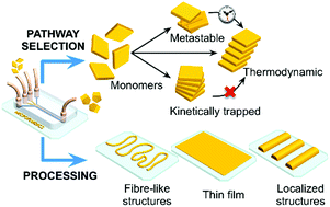Graphical abstract: Self-assembled materials and supramolecular chemistry within microfluidic environments: from common thermodynamic states to non-equilibrium structures