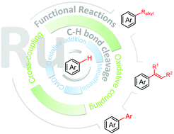 Graphical abstract: Mechanistic view of Ru-catalyzed C–H bond activation and functionalization: computational advances