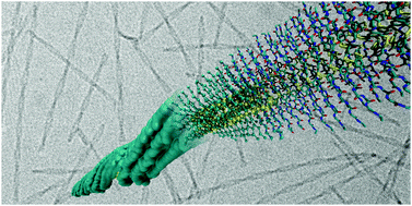 Graphical abstract: Molecular simulations of self-assembling bio-inspired supramolecular systems and their connection to experiments