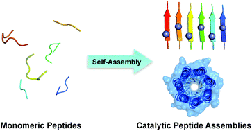 Graphical abstract: Catalytic peptide assemblies