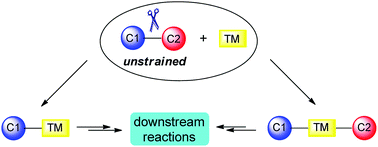 Graphical abstract: Catalytic activations of unstrained C–C bond involving organometallic intermediates