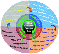 Graphical abstract: Black phosphorus quantum dots: synthesis, properties, functionalized modification and applications