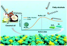 Graphical abstract: Mechanism of supported Ru3Sn7 nanocluster-catalyzed selective hydrogenation of coconut oil to fatty alcohols