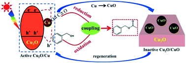 Graphical abstract: Coupling photocatalytic CO2 reduction with benzyl alcohol oxidation to produce benzyl acetate over Cu2O/Cu
