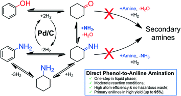 Graphical abstract: Direct liquid-phase phenol-to-aniline amination using Pd/C