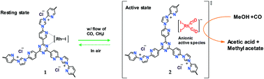 Graphical abstract: Exceptionally stable Rh-based molecular catalyst heterogenized on a cationically charged covalent triazine framework support for efficient methanol carbonylation