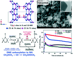 Graphical abstract: Dimethyl ether carbonylation to methyl acetate over highly crystalline zeolite seed-derived ferrierite