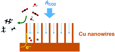 Graphical abstract: Mass transfer effects in CO2 reduction on Cu nanowire electrocatalysts