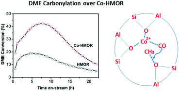 Graphical abstract: Carbonylation of dimethyl ether over Co-HMOR