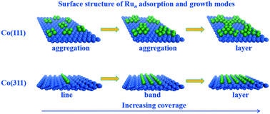 Graphical abstract: Insight into the structure and morphology of Run clusters on Co(111) and Co(311) surfaces