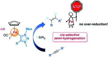 Graphical abstract: Z-Selective alkyne semi-hydrogenation catalysed by piano-stool N-heterocyclic carbene iron complexes