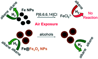 Graphical abstract: Synthesis, characterization, and evaluation of iron nanoparticles as hydrogenation catalysts in alcohols and tetraalkylphosphonium ionic liquids: do solvents matter?