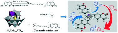 Graphical abstract: Coumarin-surfactant modified polyoxometalate catalyzed cross dehydrogenative coupling of benzyl alcohol with the para-C–H of unprotected aniline
