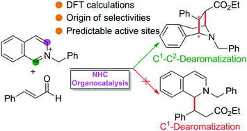 Graphical abstract: Prediction on the origin of selectivities of NHC-catalyzed asymmetric dearomatization (CADA) reactions