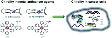 Graphical abstract: Chirality in metal-based anticancer agents