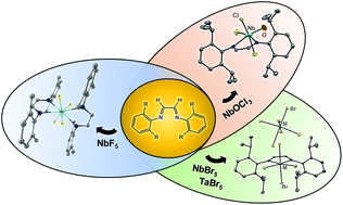 Graphical abstract: Stable coordination complexes of α-diimines with Nb(v) and Ta(v) halides